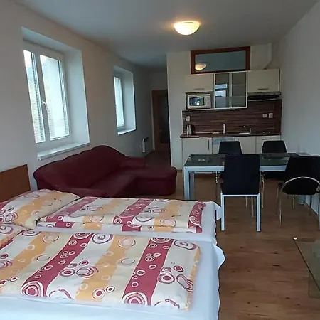 Apartment Rezidence Club Canada Lipno 25