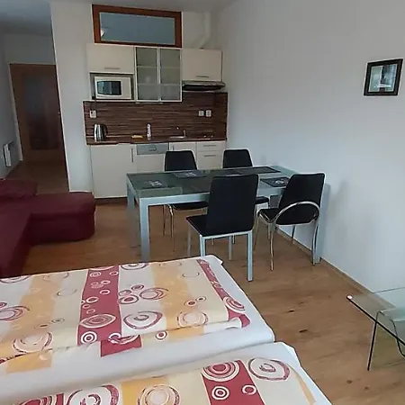 Apartment Rezidence Club Canada Lipno 25